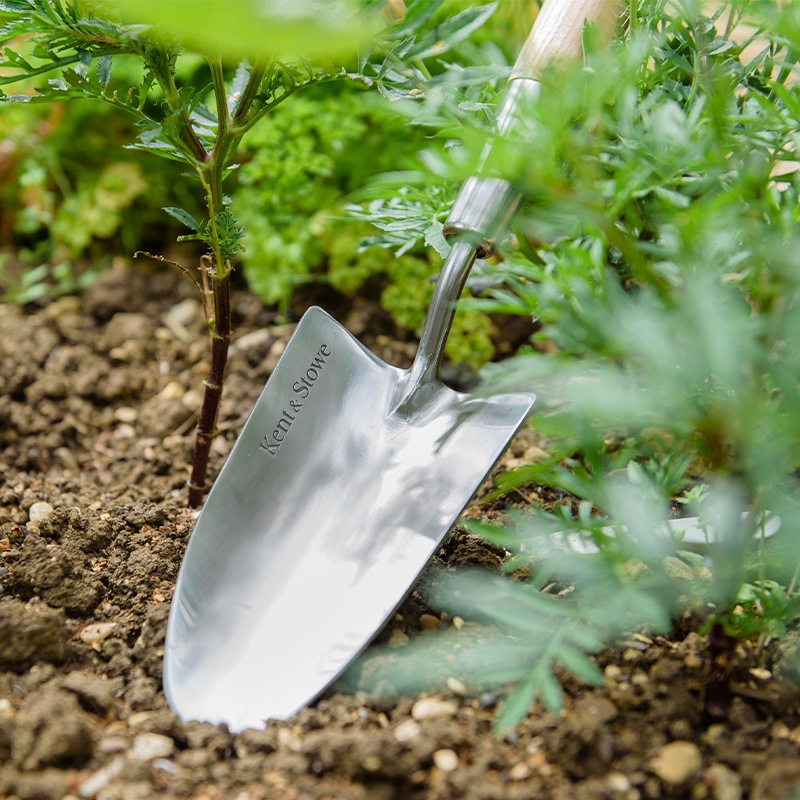 K&S���ߥǥ����६���ǥ󥷥�٥�