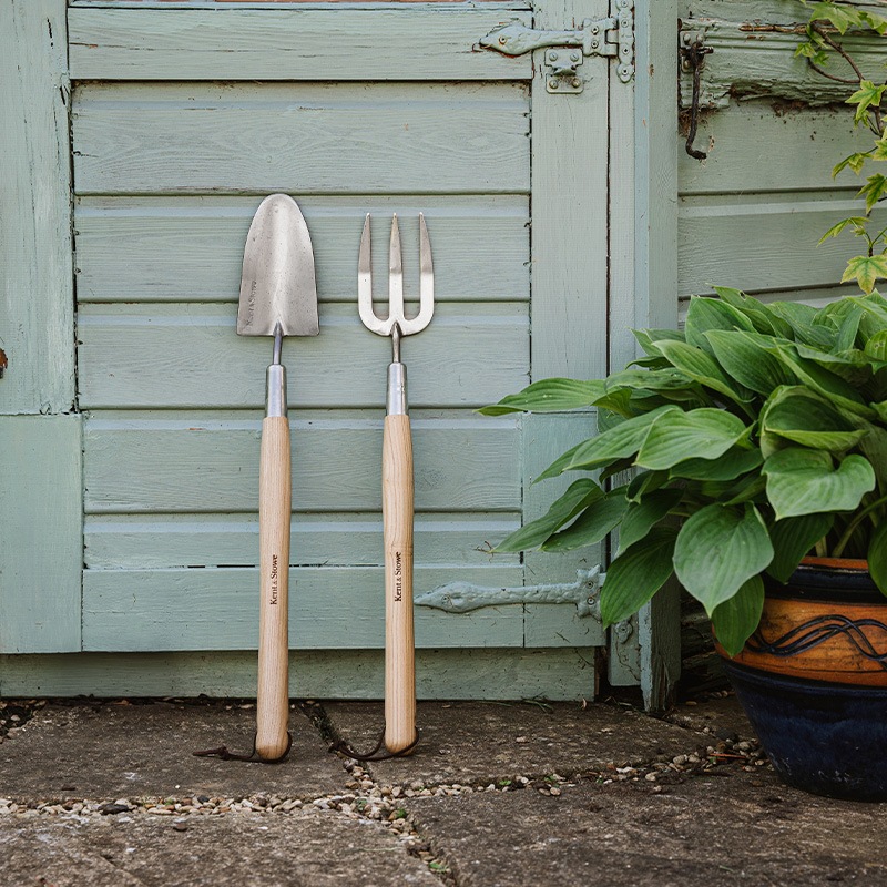 K&S���ߥǥ����६���ǥ󥷥�٥�