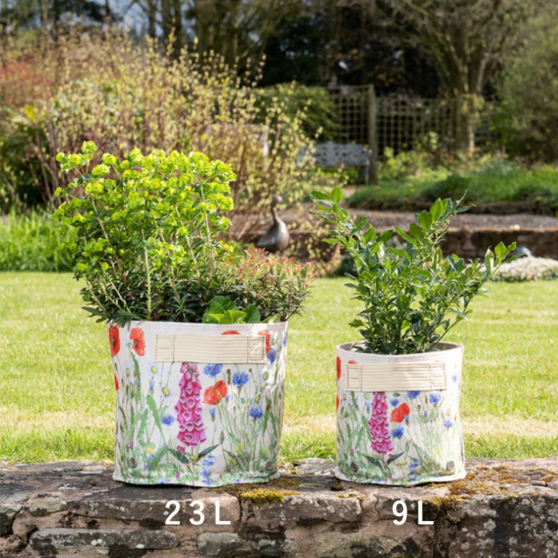 ȭե֥åݥåȡȭС23L꡼