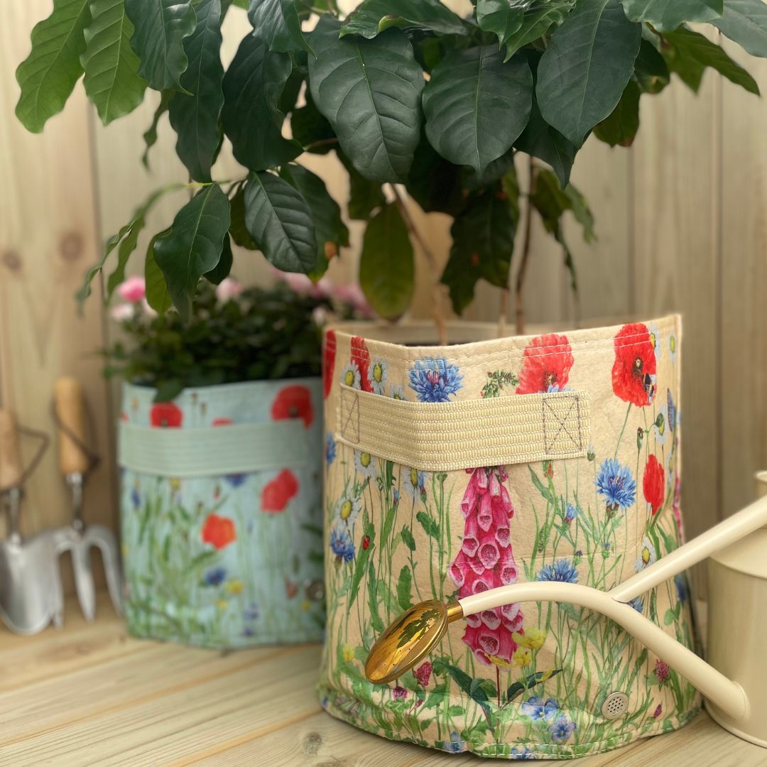 ȭե֥åݥåȡȭС23L꡼