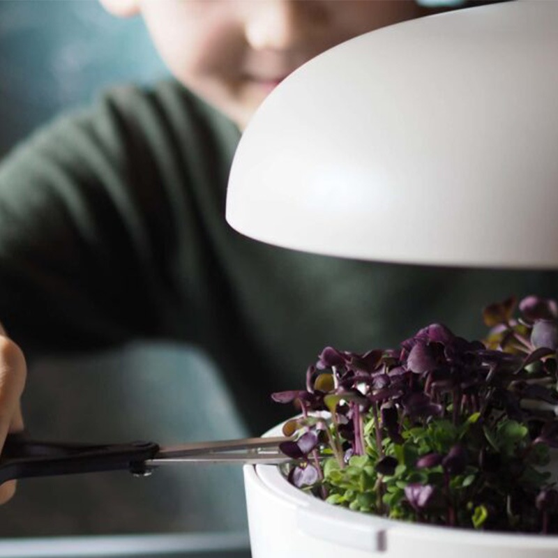 80OFFڽʡۥץ饦Ȱѥȥ졼̺ݴץȥѥץ