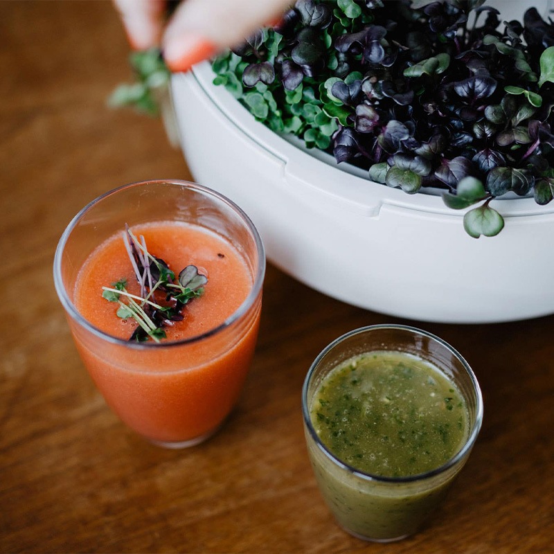 80OFFڽʡۥץ饦Ȱѥȥ졼̺ݴץȥѥץ