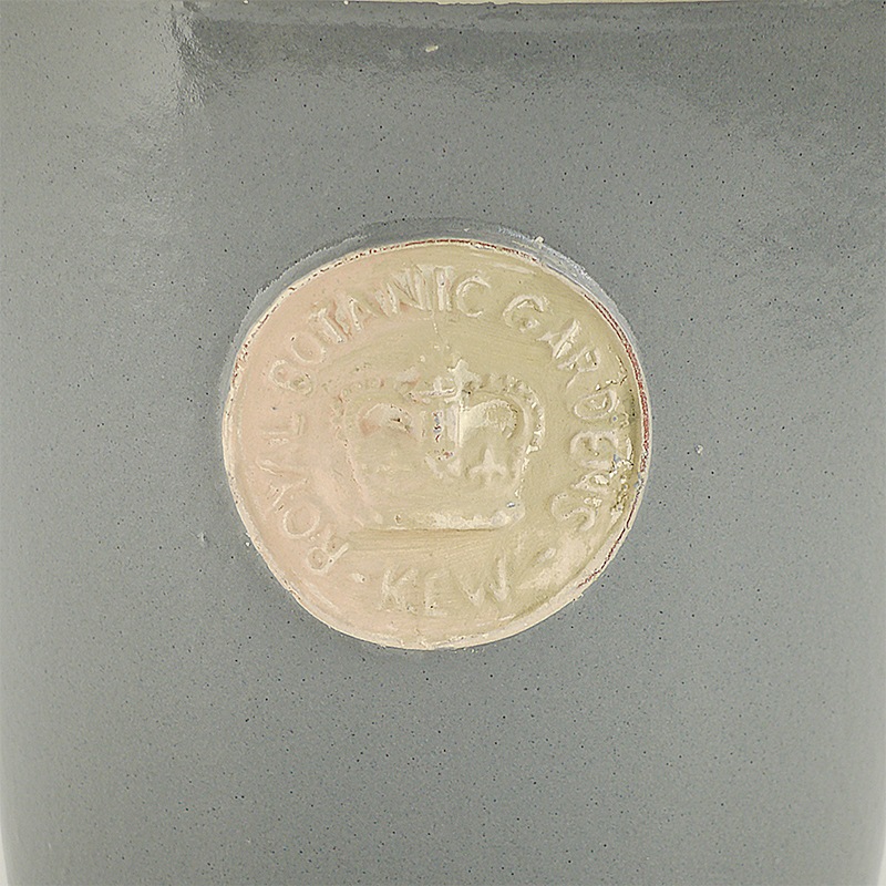 Kew Pots �ѥ������֥롼 L������ ����ȭ ���塼�ݥå�