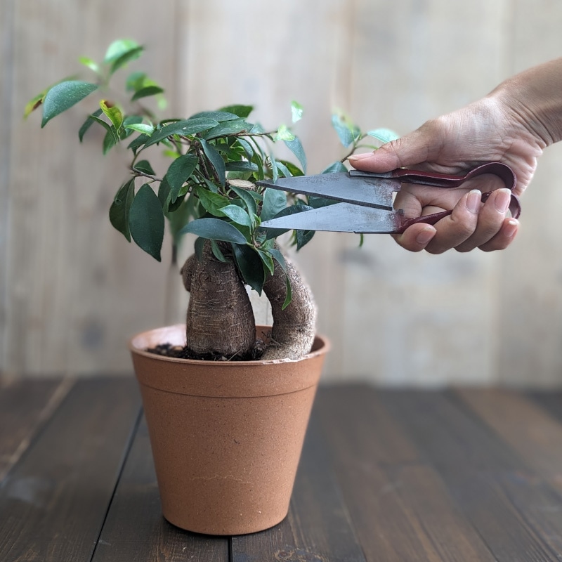 K&S�������ǥ˥�����Ф��ߡ����������ѡ�4mm