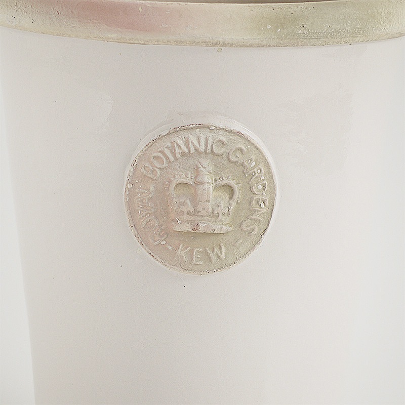 Kew Pots ����ߥ� L������ ����ȭ ���塼�ݥå�