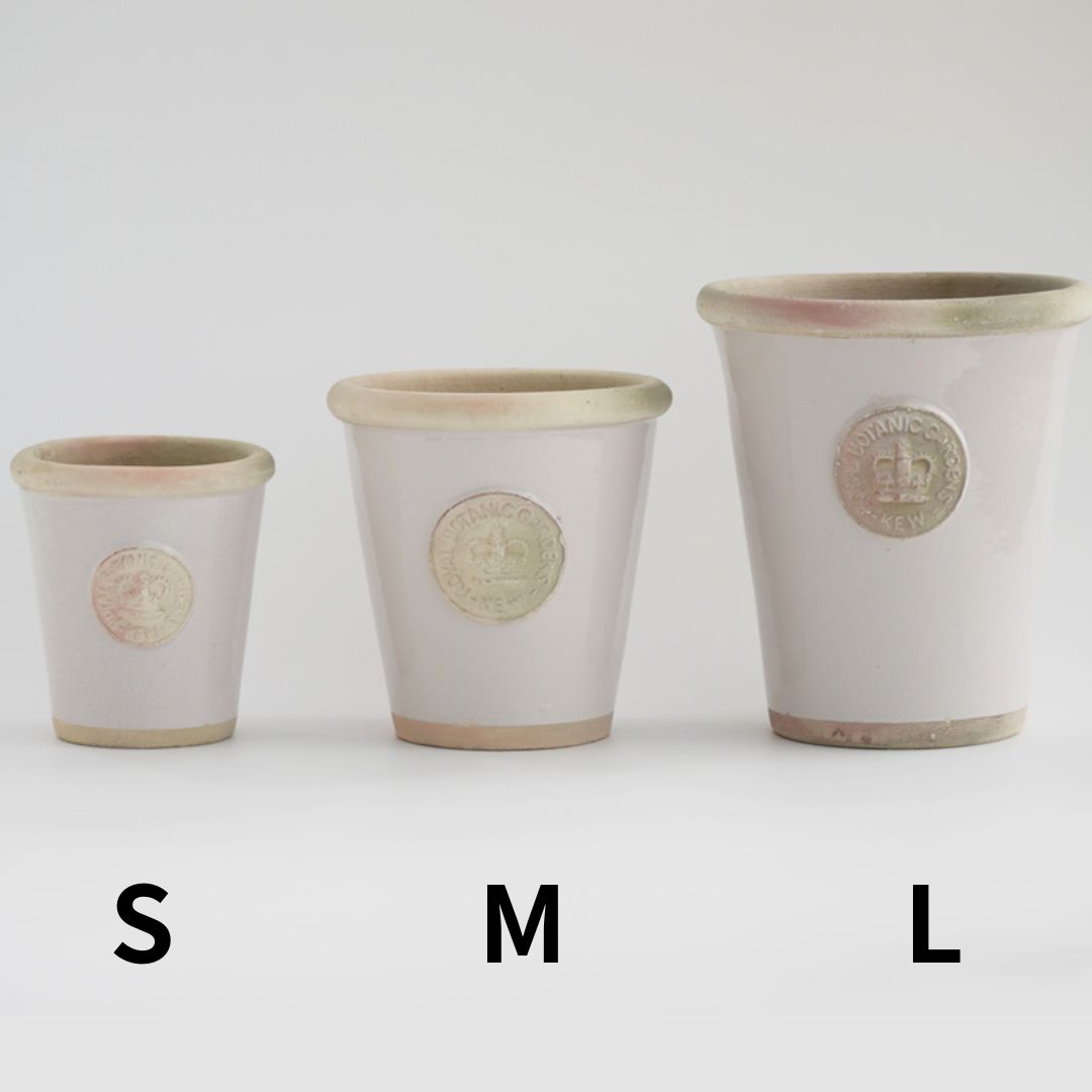 Kew Pots ����ߥ� L������ ����ȭ ���塼�ݥå�