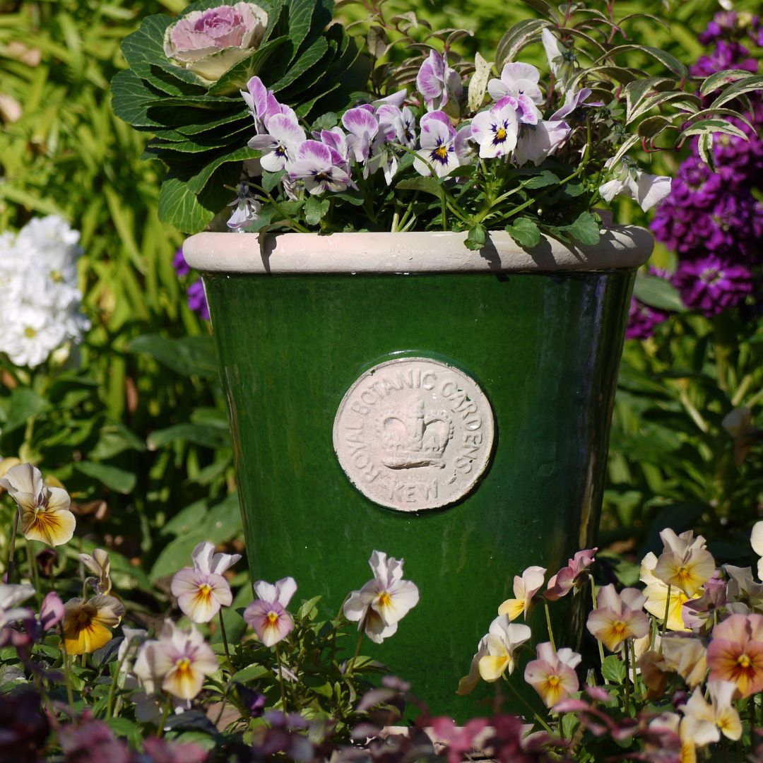 Kew Pots ���������꡼�� L������ ����ȭ ���塼�ݥå�