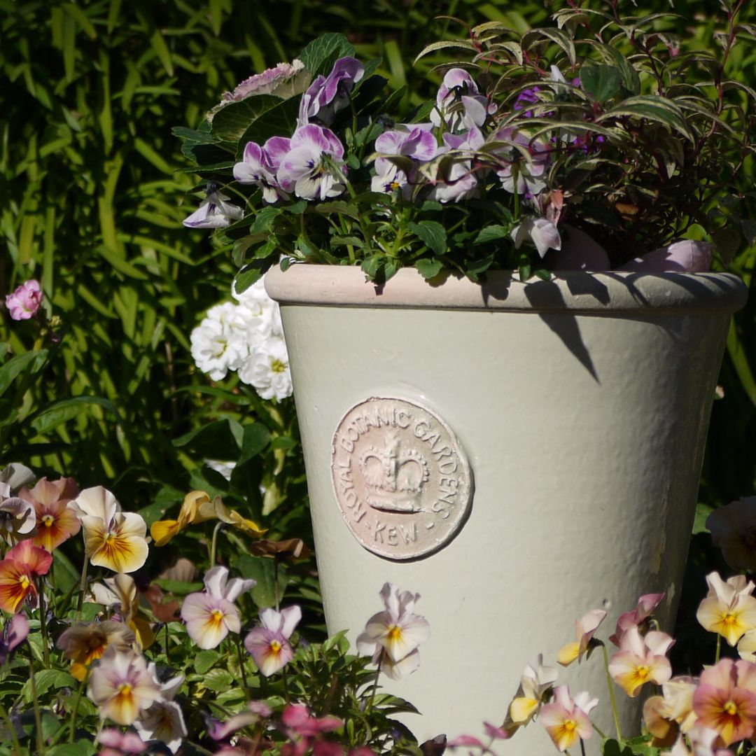 Kew Pots �ե������졼 L������ ����ȭ ���塼�ݥå�