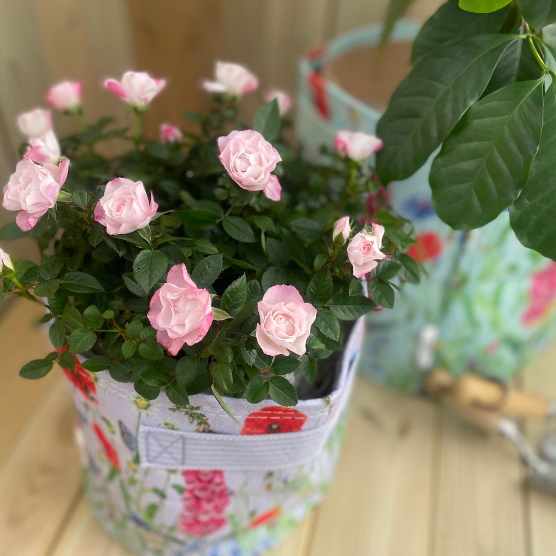 ȭե֥åݥåȡȭС9L饤å