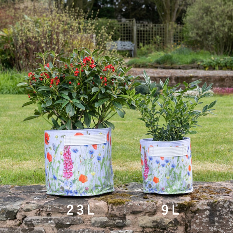 ȭե֥åݥåȡȭС9L饤å