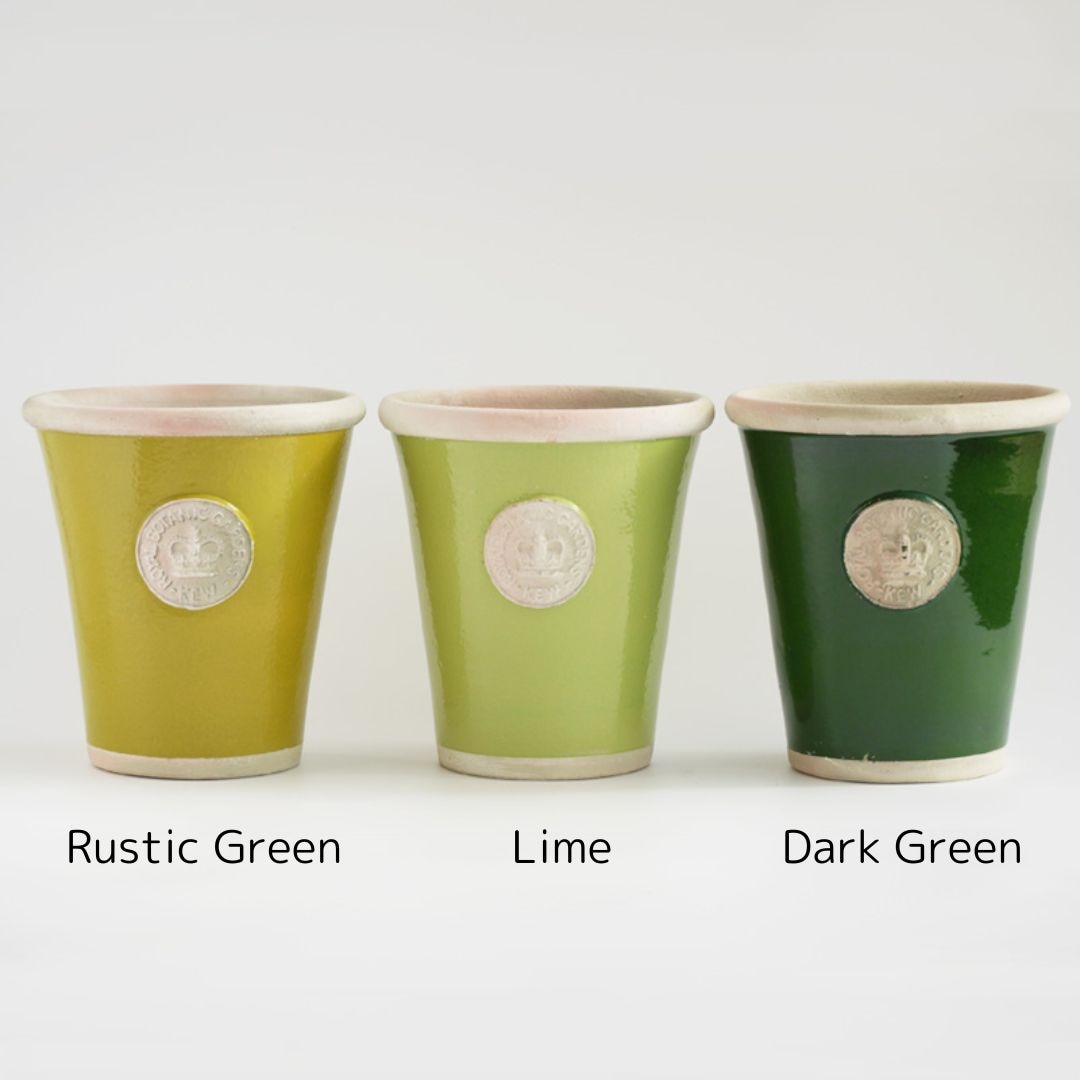 Kew Pots �饤�� L������ ����ȭ ���塼�ݥå�