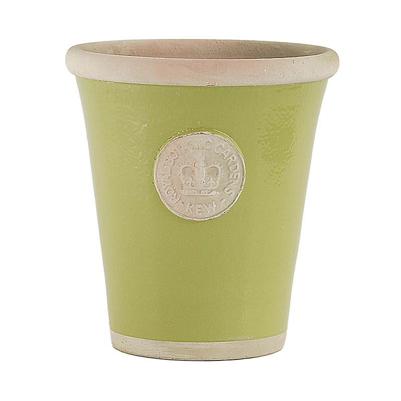 Kew Pots �饤�� L������ ����ȭ ���塼�ݥå�