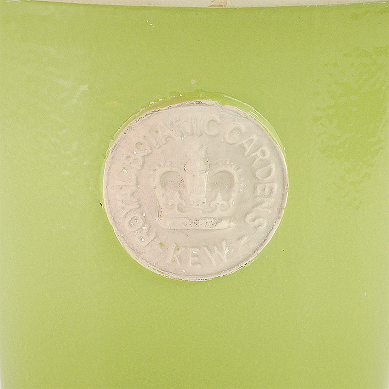 Kew Pots �饤�� L������ ����ȭ ���塼�ݥå�