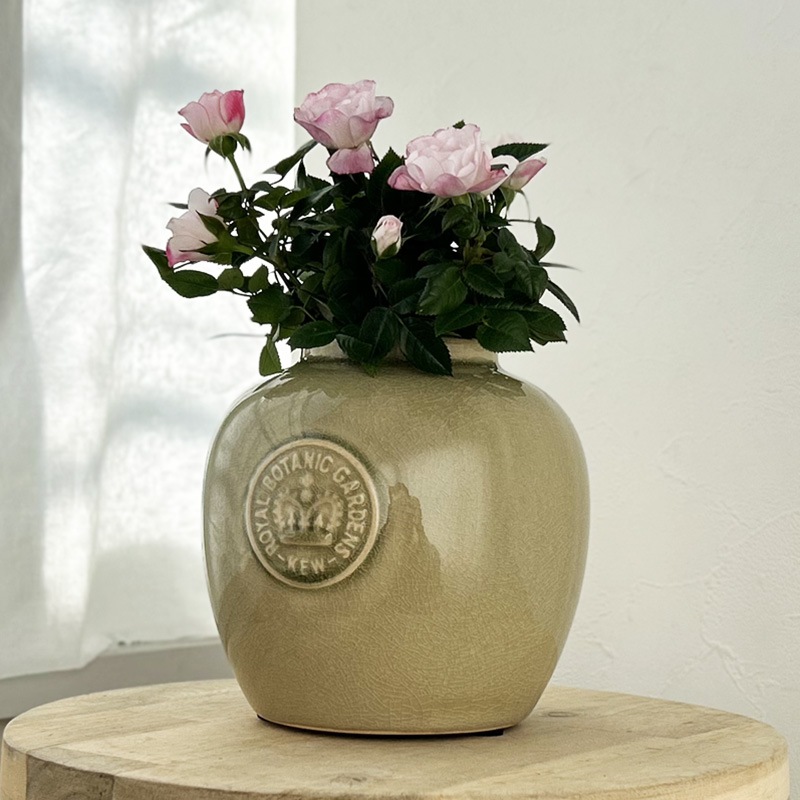 Kew Garden �ե��١�����ƫ���������ӡ�����ӥ����꡼��