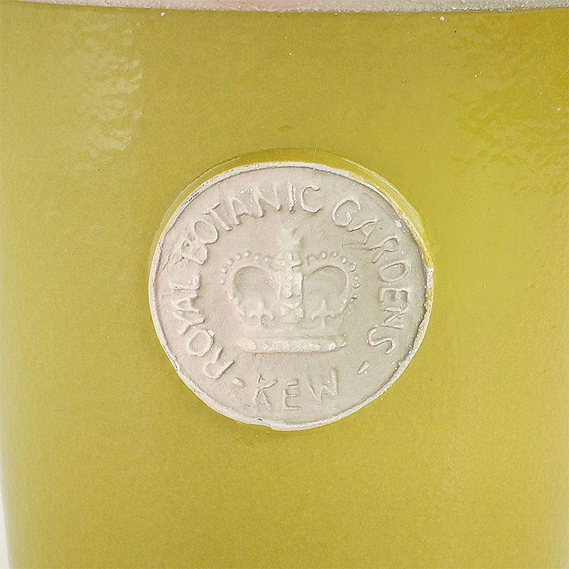 Kew Pots �饹�ƥ��å����꡼�� L������ ����ȭ ���塼�ݥå�