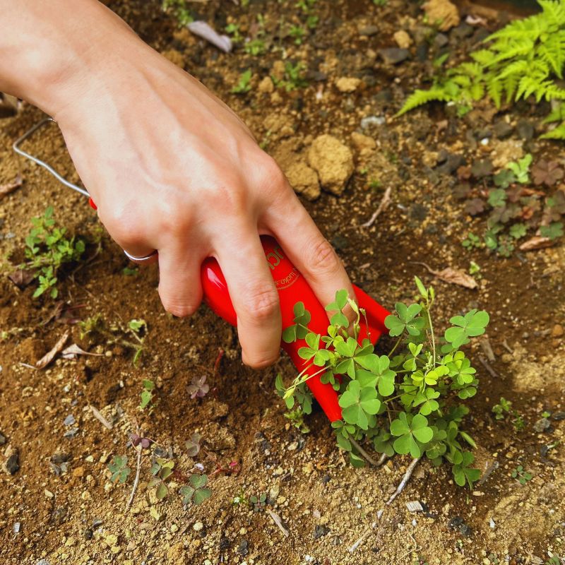 �����ꡡ�륳����������