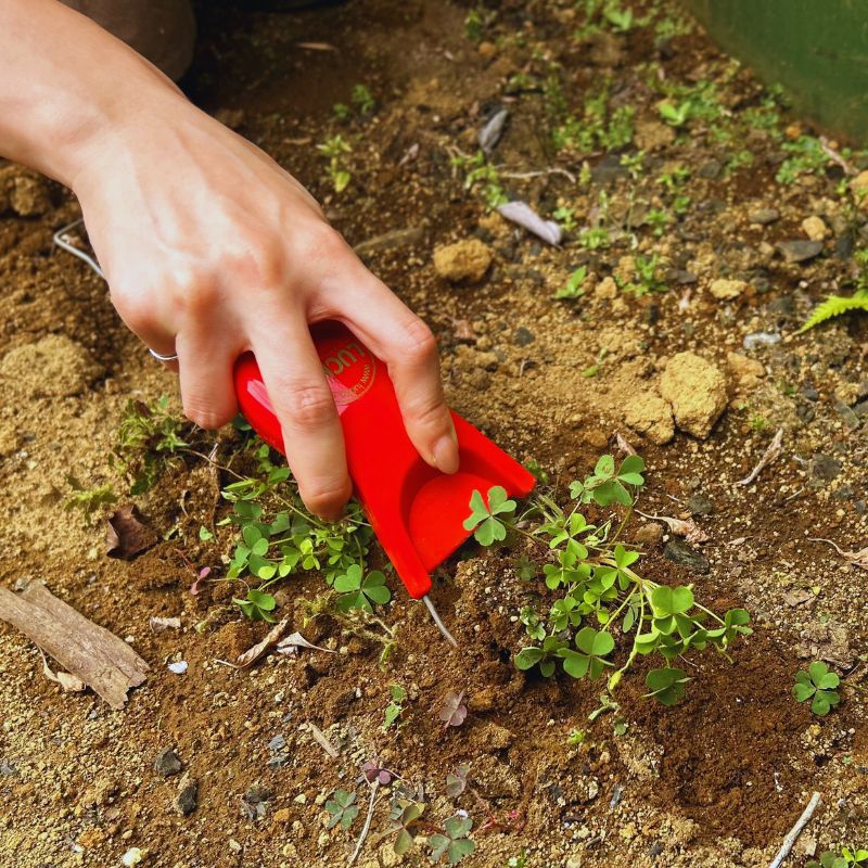 �����ꡡ�륳����������