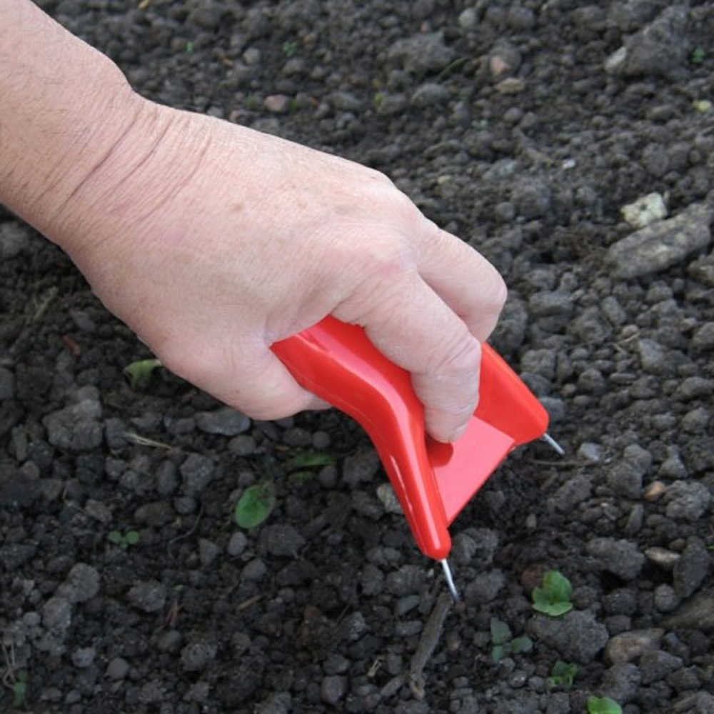 �����ꡡ�륳����������