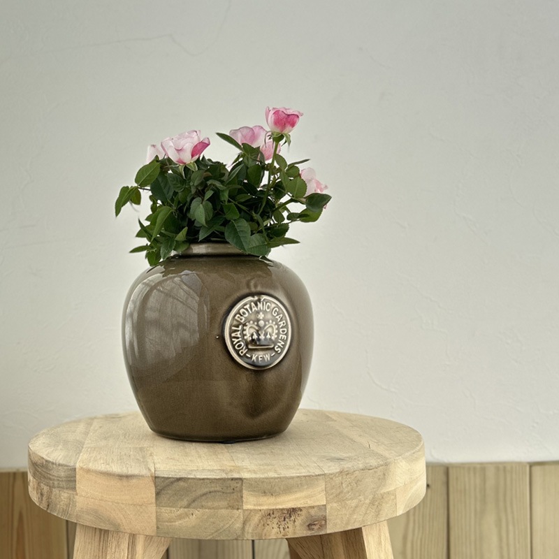 Kew Garden �ե��١�����ƫ���������ӡ��������ʥåĥ֥饦��