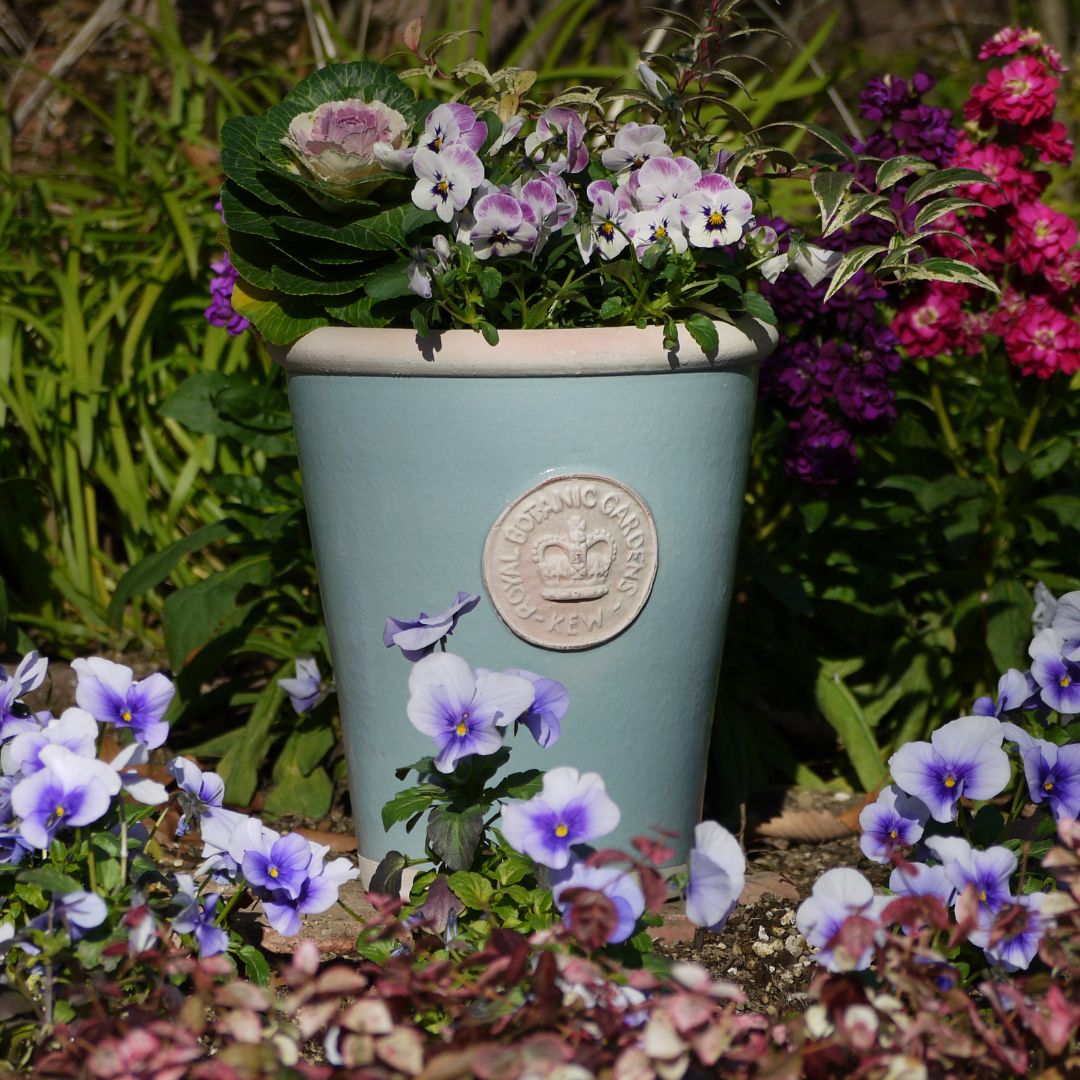 Kew Pots �����󥸥ʥӥ��֥롼 L������ ����ȭ ���塼�ݥå�