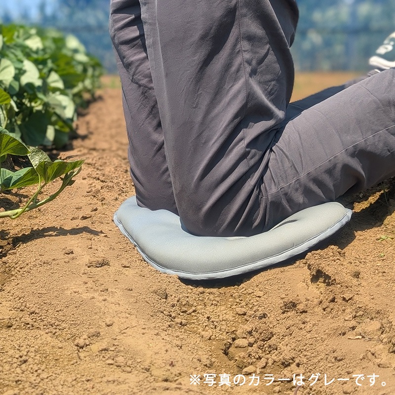 �����ǥ˥��ѤҤ����ơ������ȥɥ����å���󡡥ͥ��ӡ�