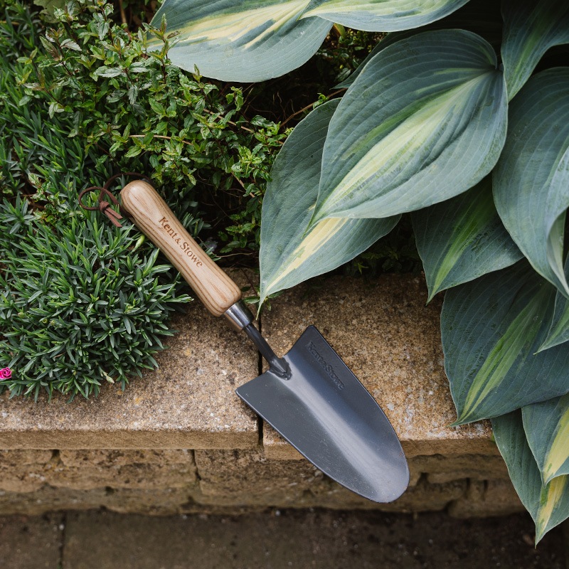 K&S�������ܥ�ϥ�ɥ���٥롡ú�ǹ�