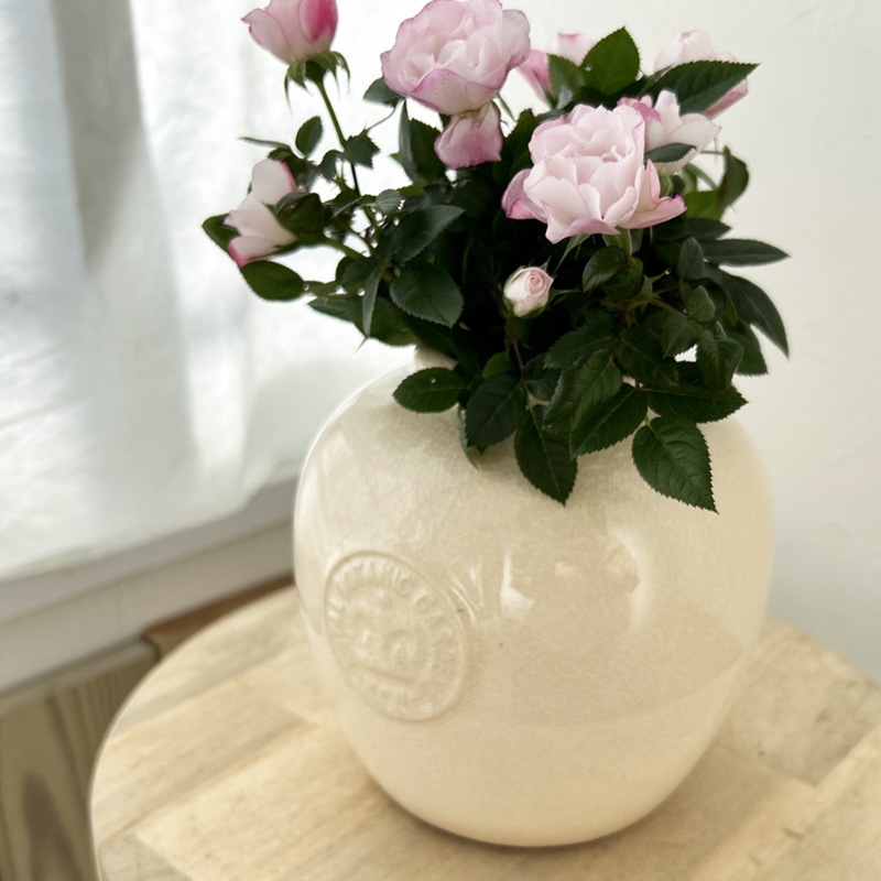 Kew Garden �ե��١�����ƫ���������� �����ܥ꡼