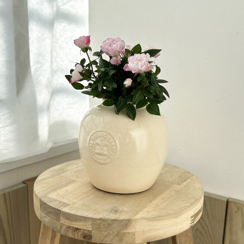 Kew Garden �ե��١�����ƫ���������� �����ܥ꡼