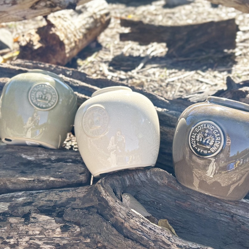 Kew Garden �ե��١�����ƫ���������� �����ܥ꡼