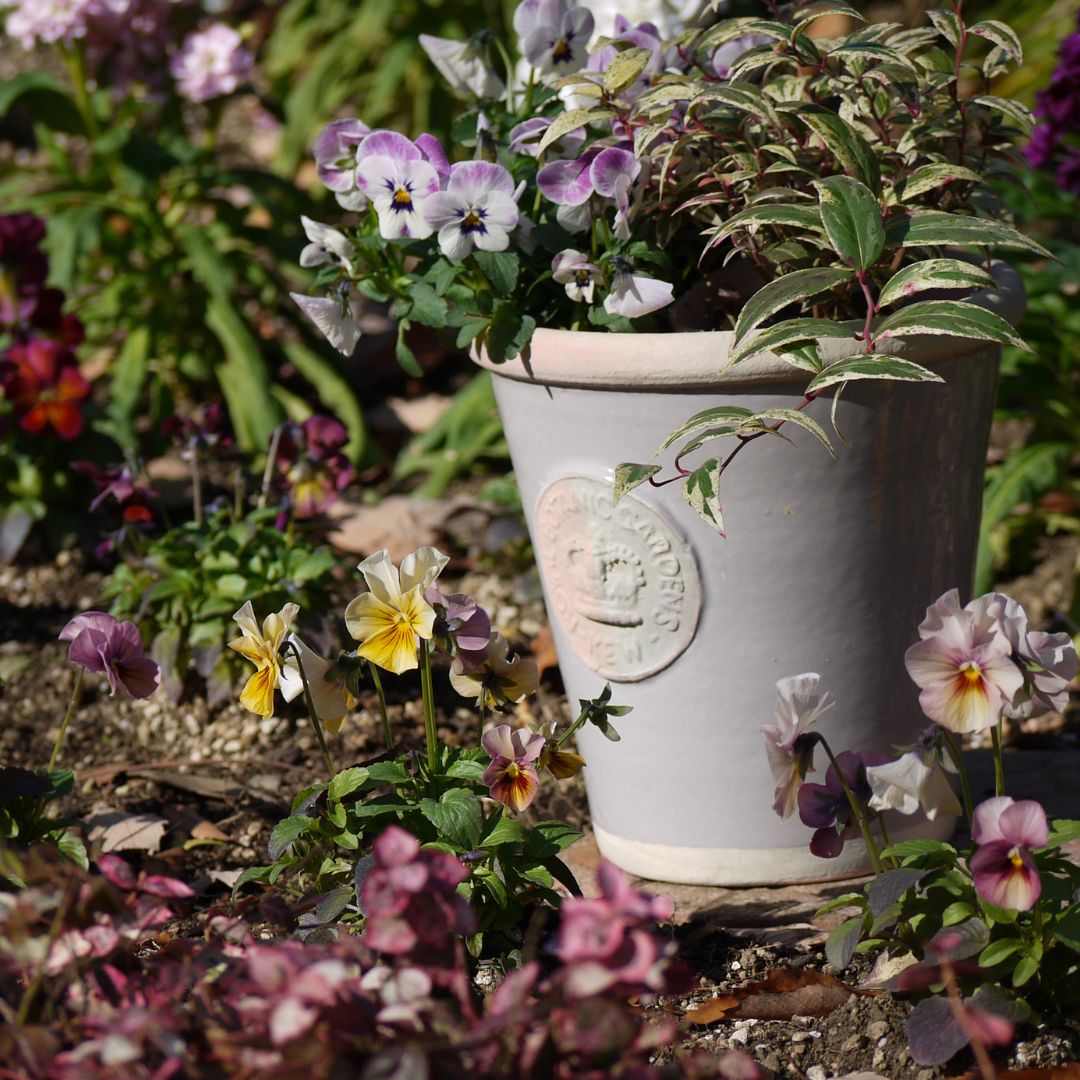 Kew Pots  M ȭ 塼ݥå