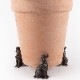 ȭ���֥��������ץ�󥬡����ѥ˥��롡�ݥåȥե����ȡ�