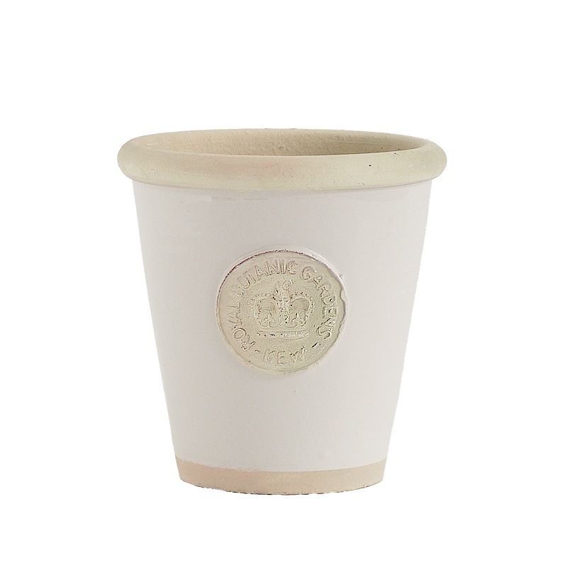 Kew Pots ����ߥ� M������ ����ȭ ���塼�ݥå�