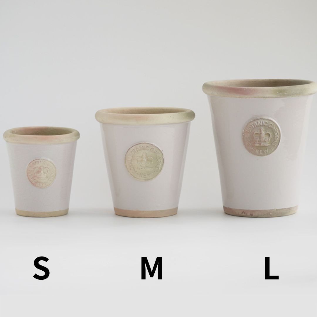 Kew Pots ����ߥ� M������ ����ȭ ���塼�ݥå�