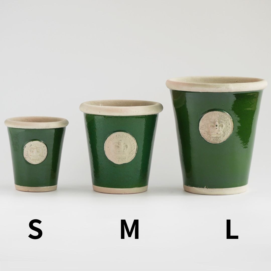 Kew Pots ꡼ M ȭ 塼ݥå