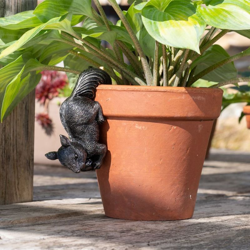 ȭ���֥������ꤹ �������ǥ󥢥������꡼