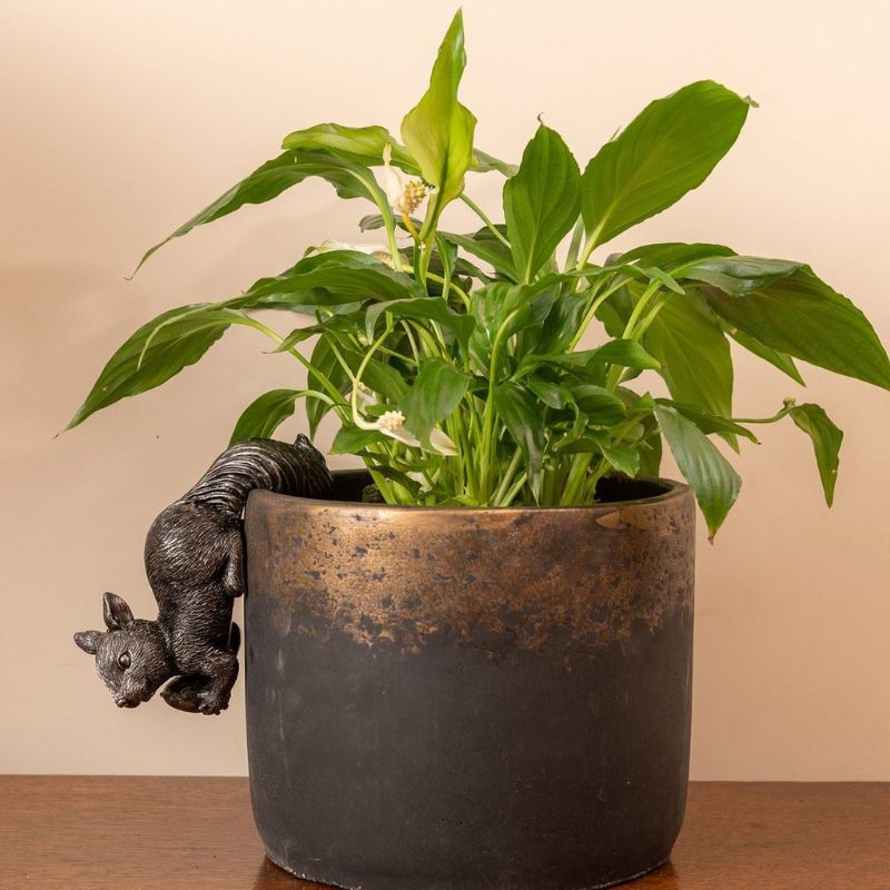 ȭ���֥������ꤹ �������ǥ󥢥������꡼