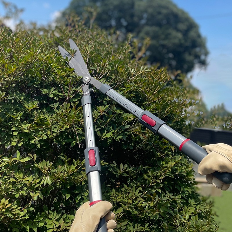 K&S�����̼�����Ф��ߡ�����������