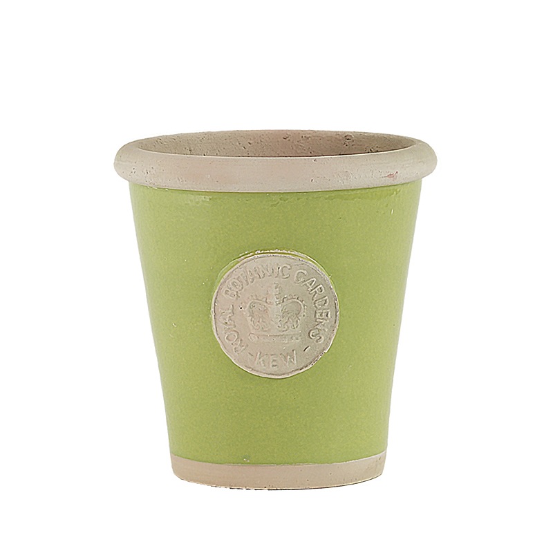 Kew Pots �饤�� M������ ����ȭ ���塼�ݥå�