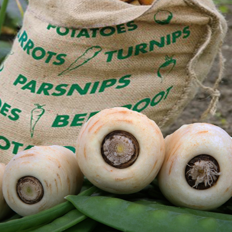 �����������¸�ޡ������̡�70��40�������ʬ����