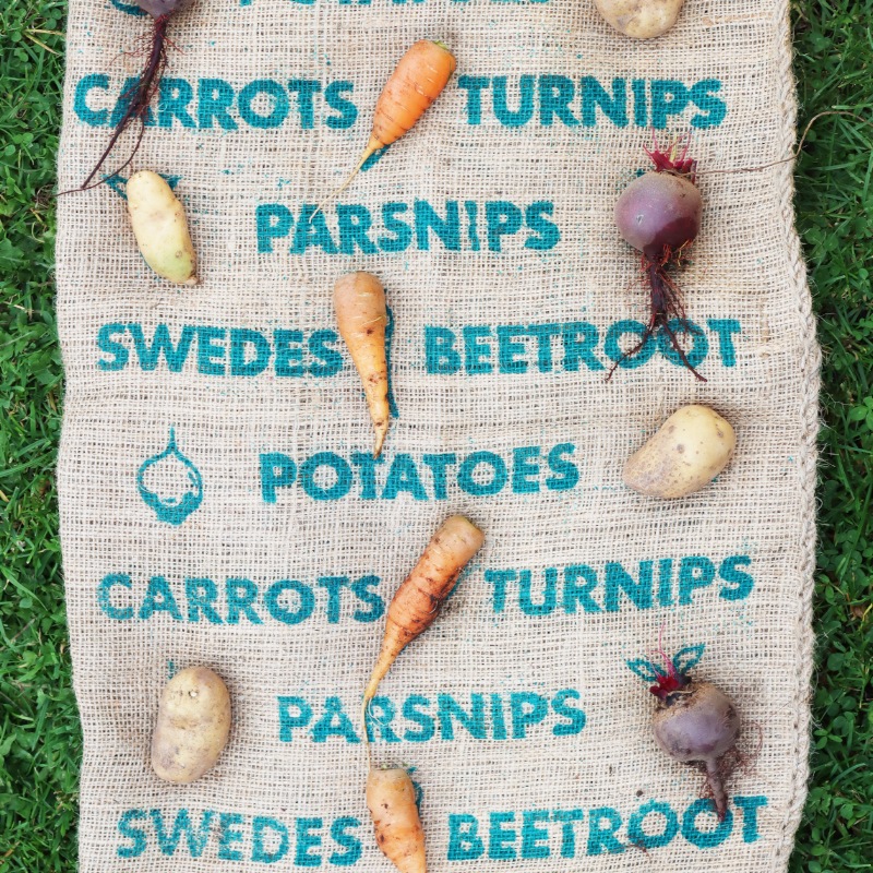 �����������¸�ޡ������̡�70��40�������ʬ����