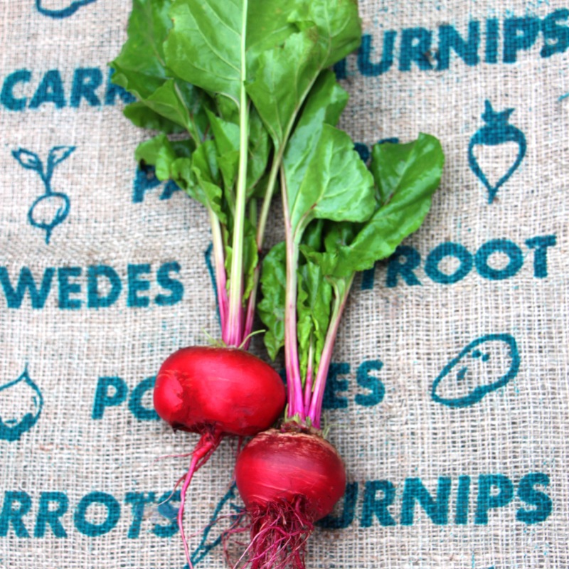 �����������¸�ޡ������̡�70��40�������ʬ����