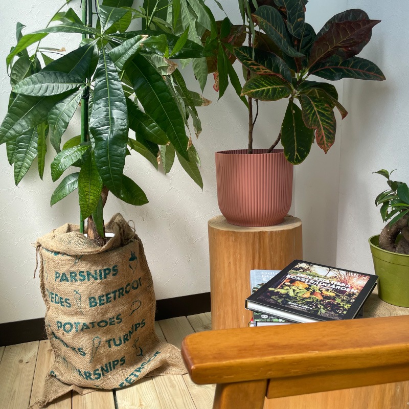 �����������¸�ޡ������̡�70��40�������ʬ����