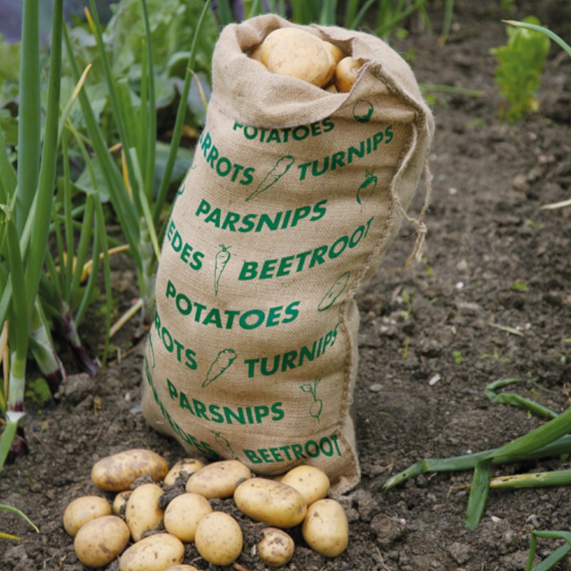 �����������¸�ޡ������̡�70��40�������ʬ����