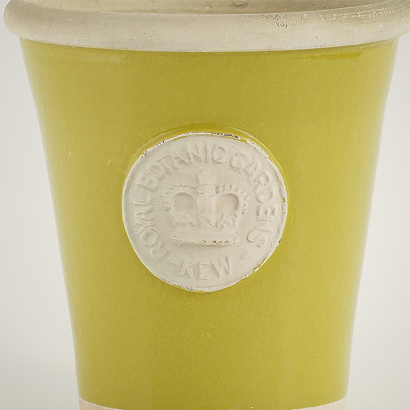 Kew Pots �饹�ƥ��å����꡼�� M������ ����ȭ ���塼�ݥå�