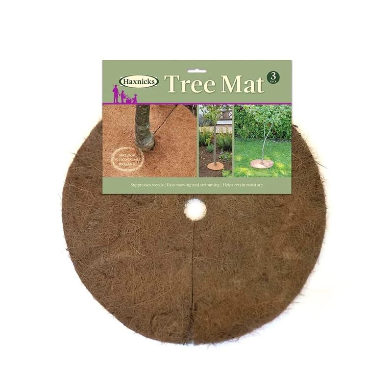 ĥ꡼ޥåȡľ403硡ʬ