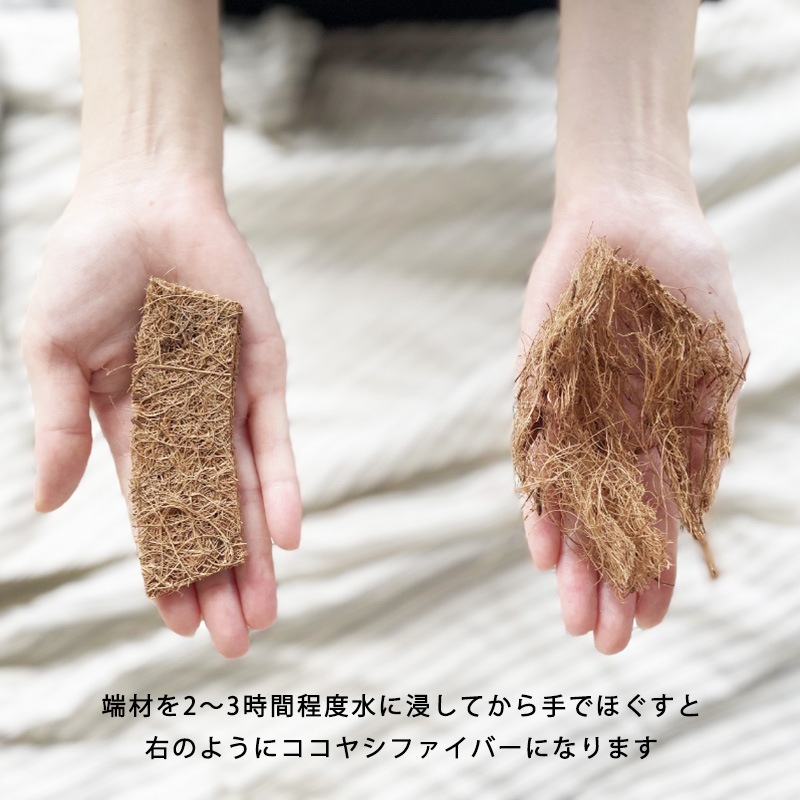 ĥ꡼ޥåȡľ403硡ʬ