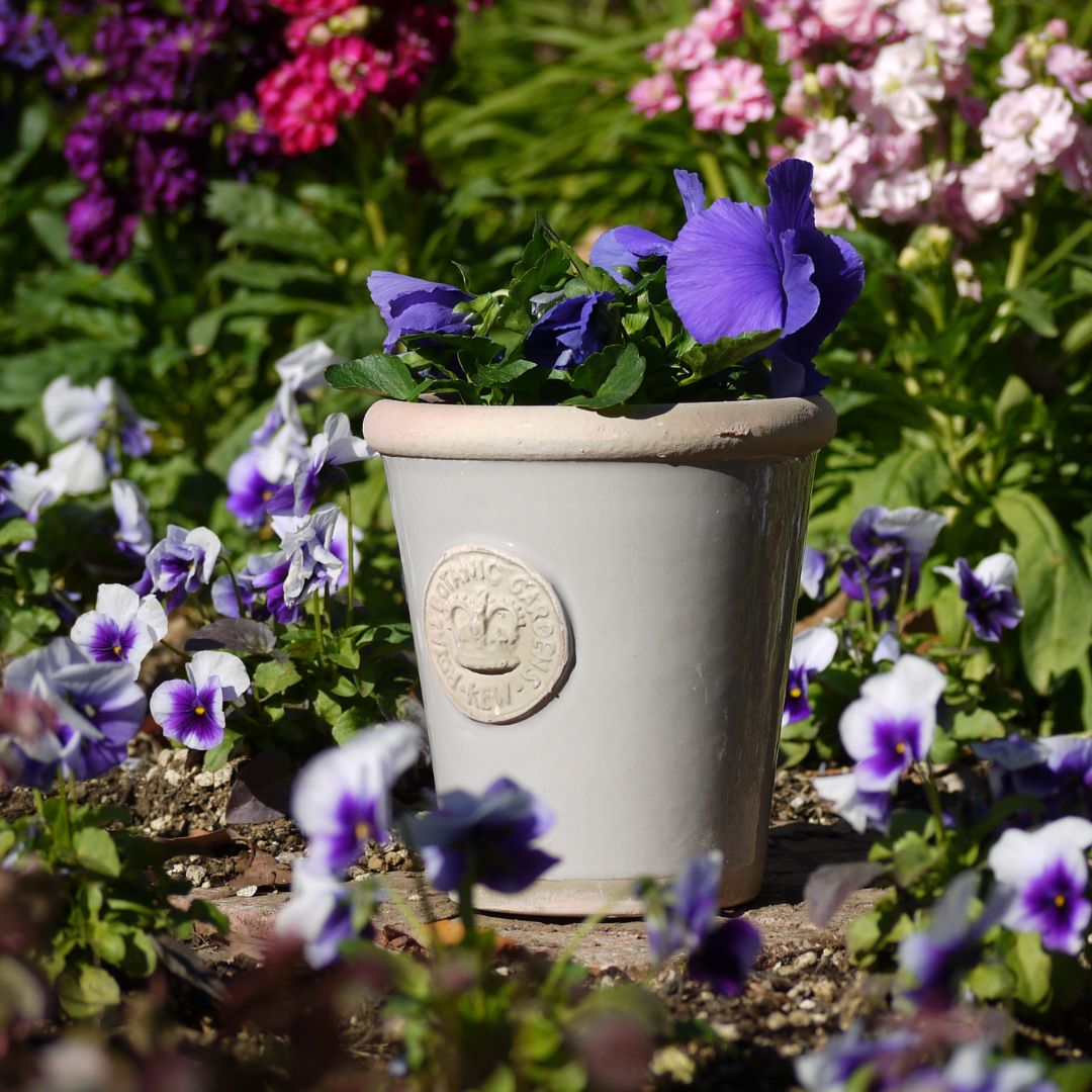 Kew Pots  S ȭ 塼ݥå