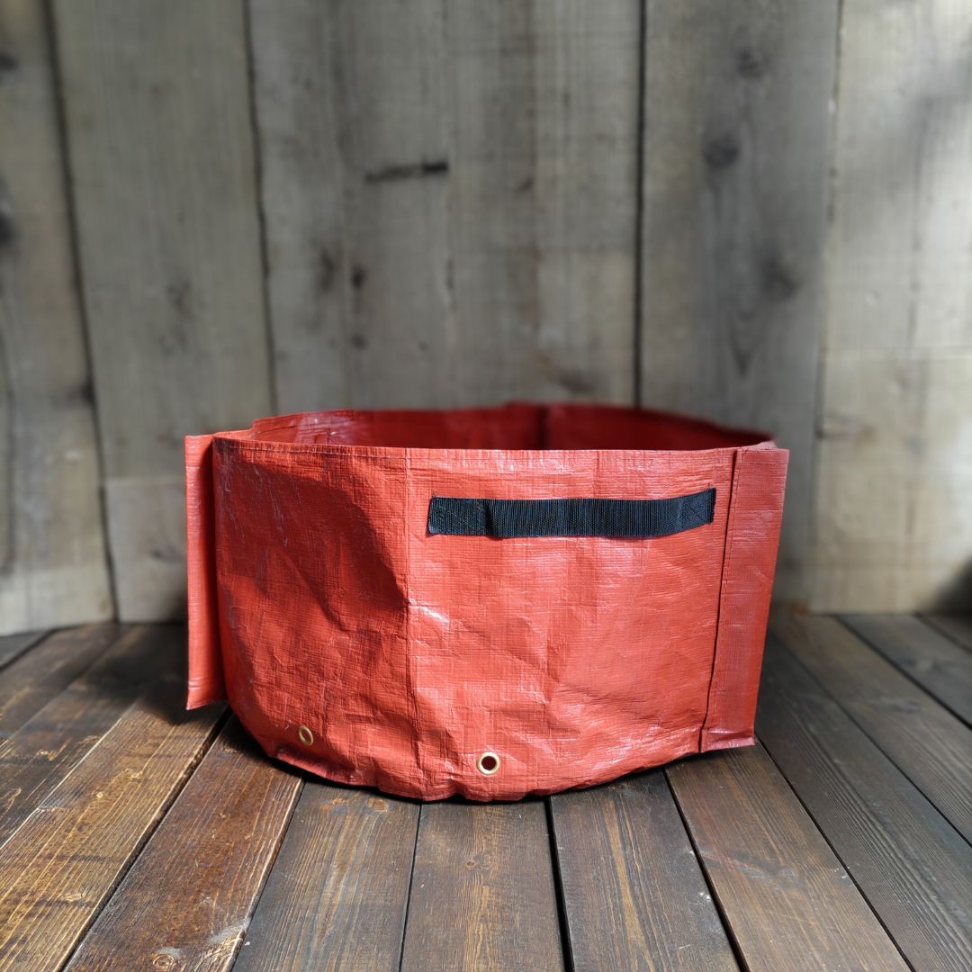 ץ󥿡դ2祻åȡȥޥ