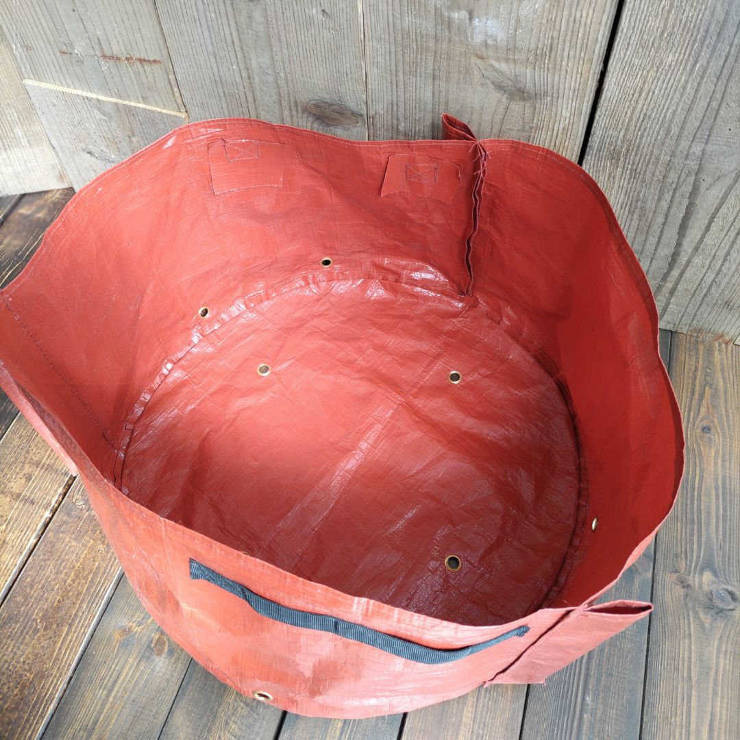 ץ󥿡դ2祻åȡȥޥ