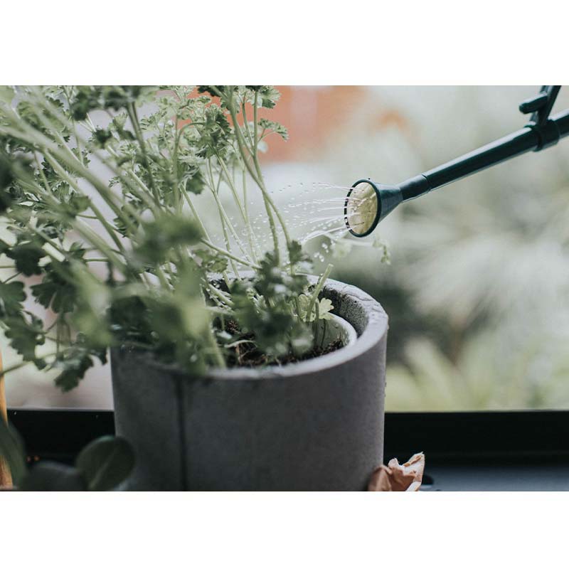 HAWSץ饹å礦0.7Lѥȡ꡼